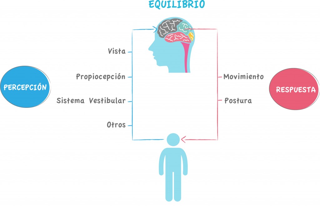 Esquema del equilibrio