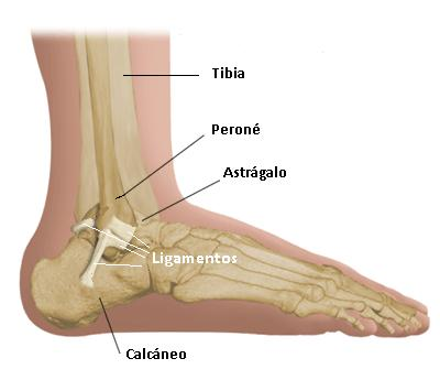 Prevención de las lesiones de tobillo